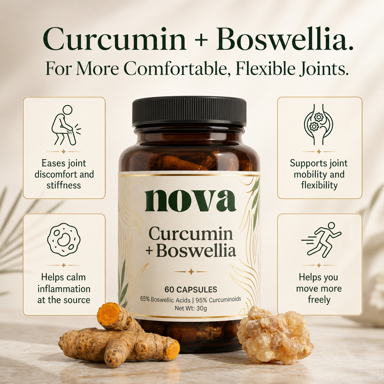 Curcumin + Boswellia Joint Support